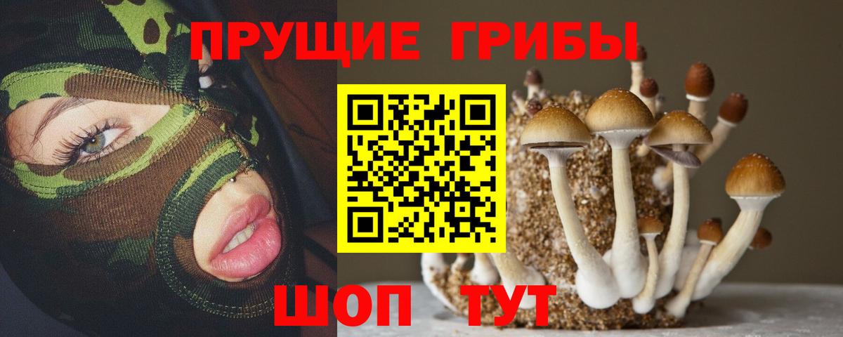 Ишимбай  Псилоцибиновые грибы Psilocybe  Галлюциногенные грибы GOLDEN TEACHER  Вход с VPN 